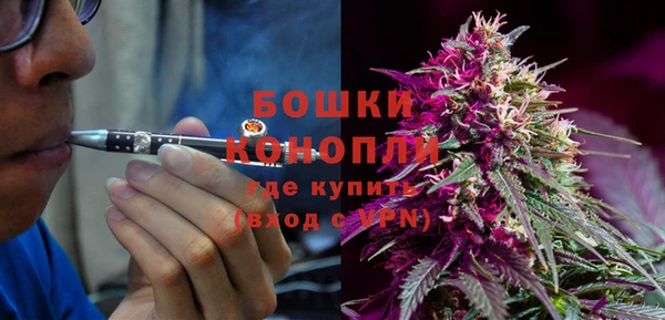 гидра Белокуриха