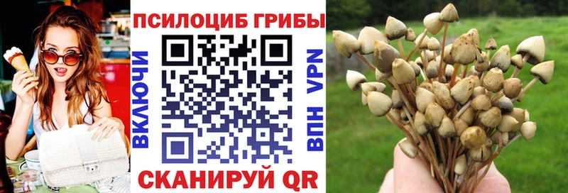 где купить наркоту  Верея  сайты даркнета формула  Галлюциногенные грибы Magic Shrooms 